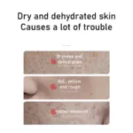 🌾 Reistoner Pflegeset – Strahlender Teint mit 70% Reis-Extrakt 🌾 – Bild 6