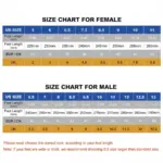 Unisex Beach-Clogs – rutschfest, leicht & wasserfreundlich – Bild 6